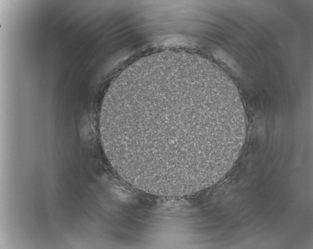 X0000070220824200606232129