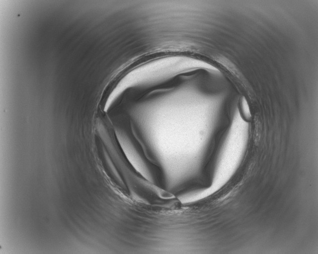 X0000070220834200606232129