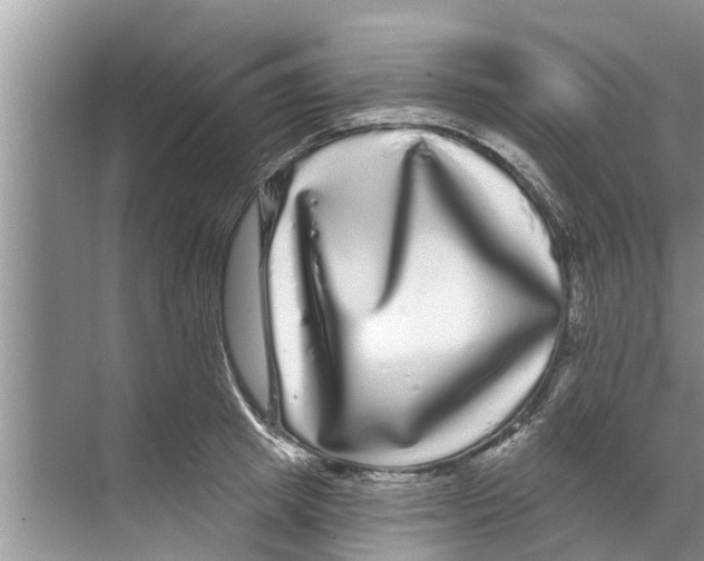 X0000070220849200606232129