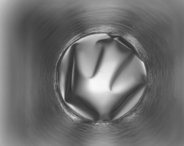 X0000070220850200606232129