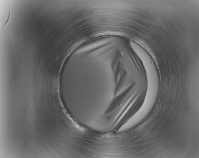 X0000070220898200606232128
