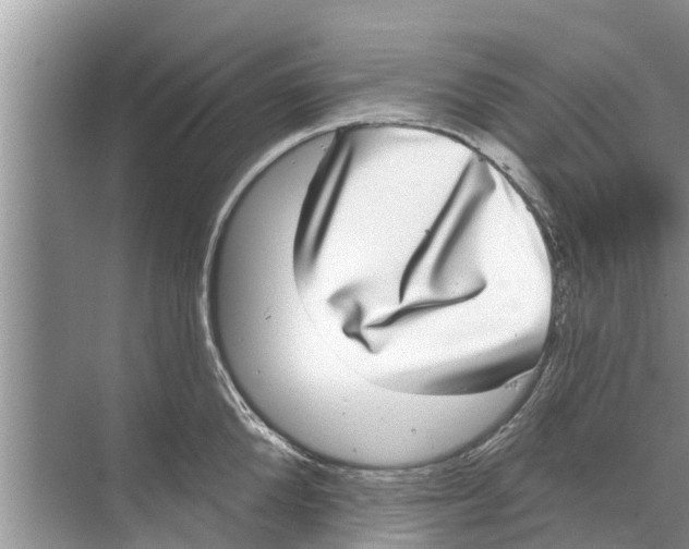 X0000070220904200606232128