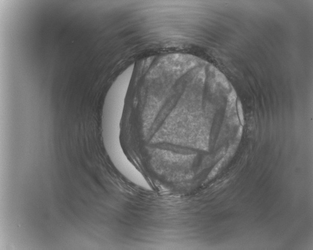 X0000070220916200606232127