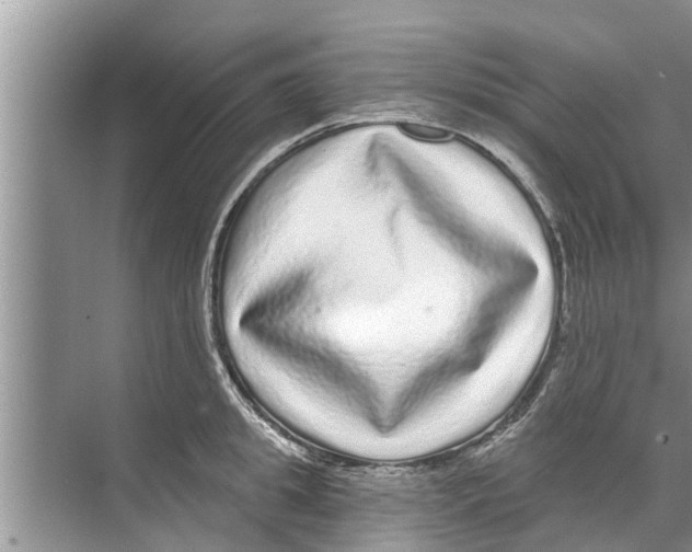 X0000070220949200606232128