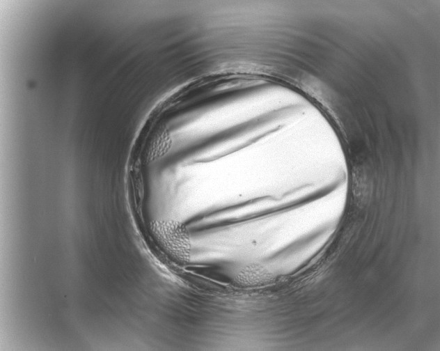 X0000070220987200606232127