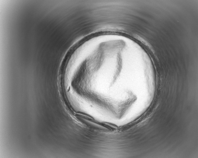 X0000070221029200606232126