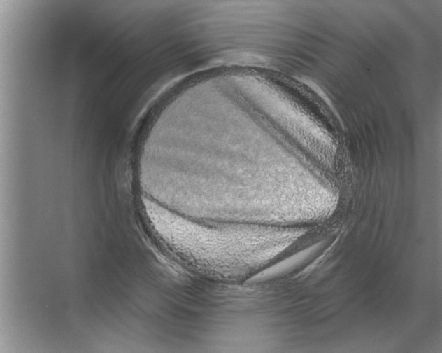 X0000070221115200606232124