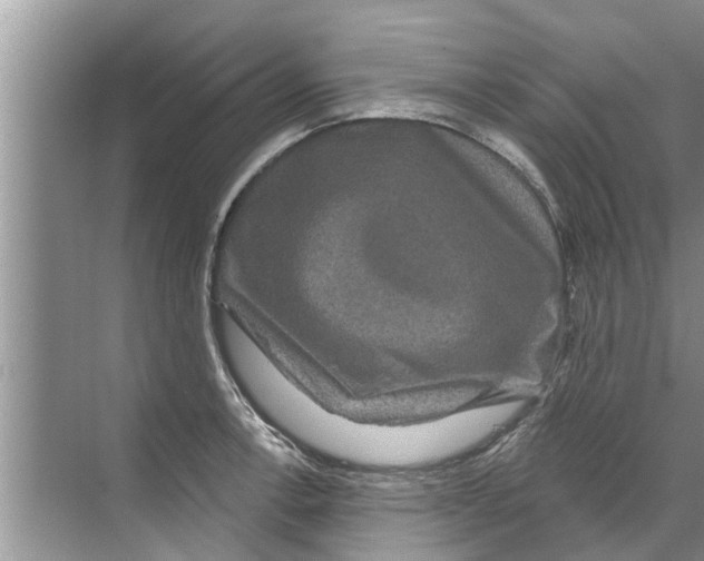X0000070221138200606232124