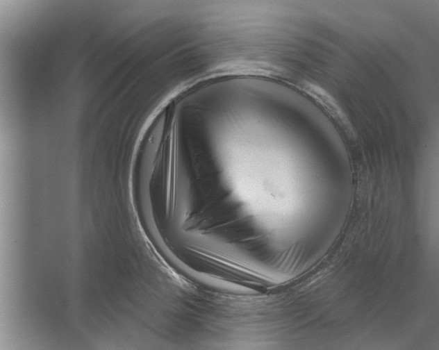 X0000070221188200606232123
