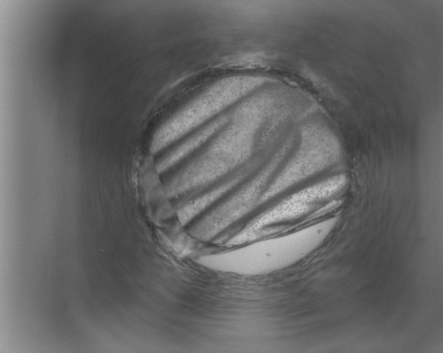 X0000070221206200606232122