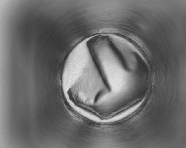 X0000070221241200606232123