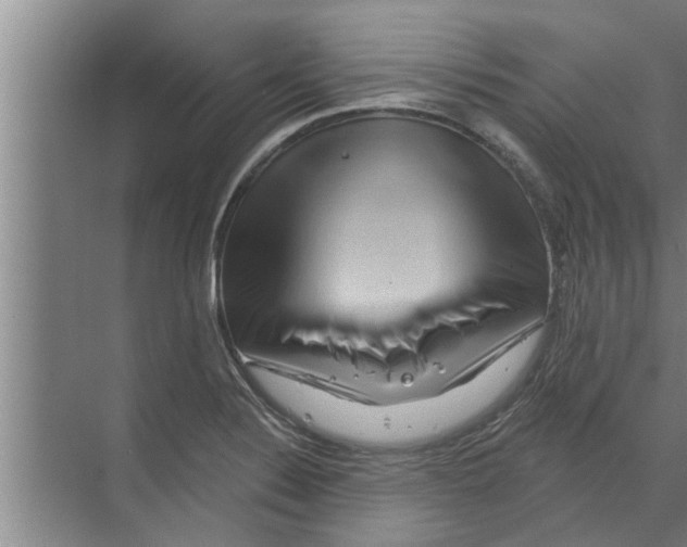 X0000070221324200606232121