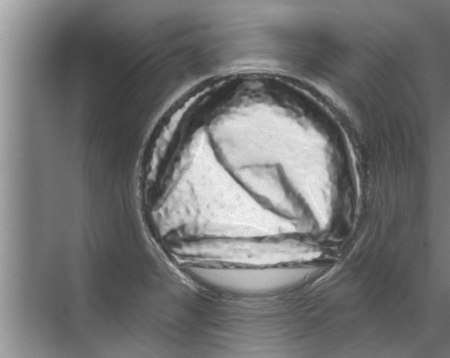X0000070221325200606232121