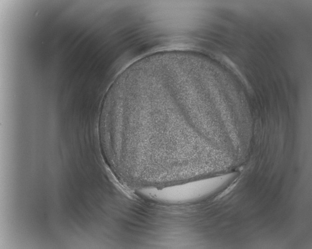 X0000070221417200606232119