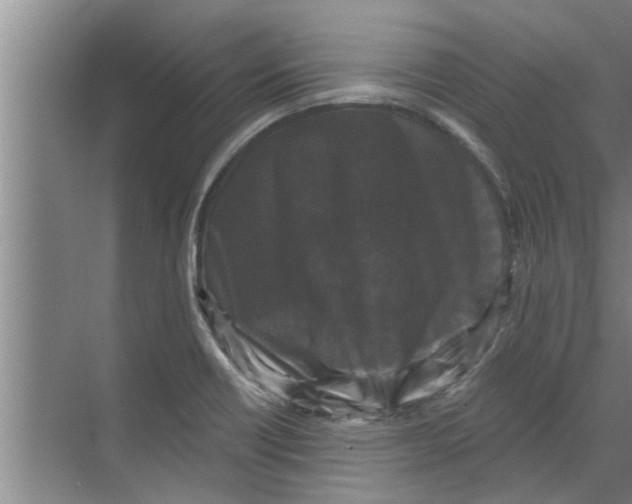 X0000070221418200606232119