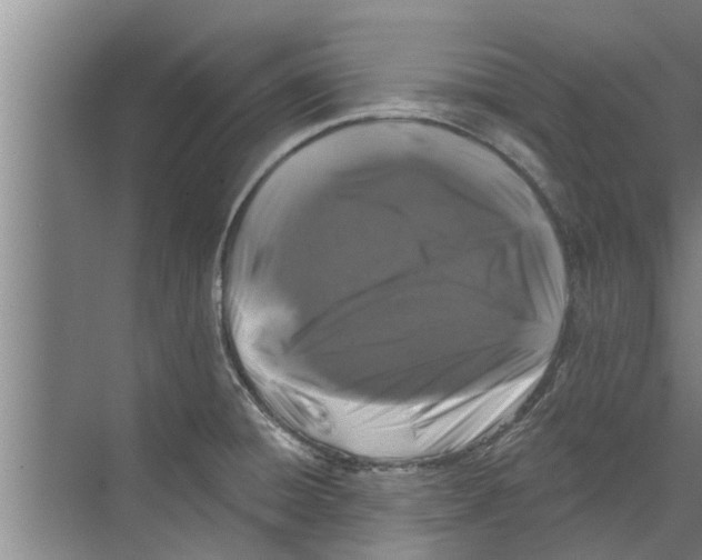 X0000070221428200606232119