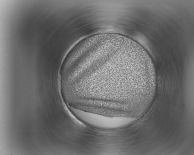 X0000070221476200606232118