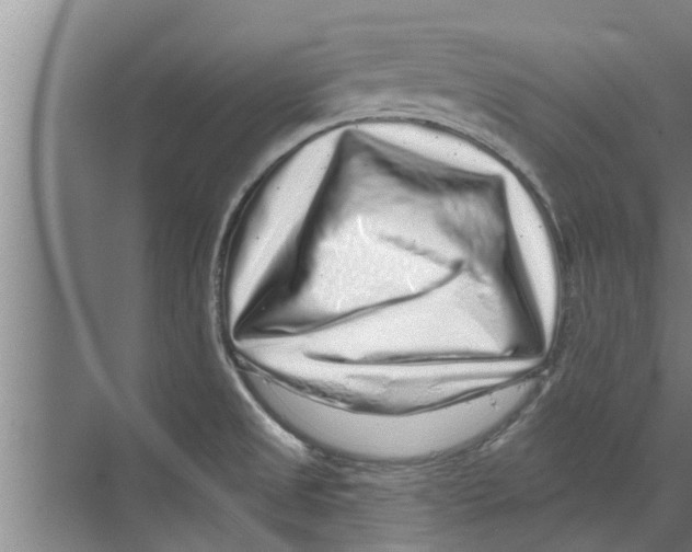 X0000070221525200606232118