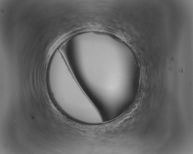 X0000070230007200605261113