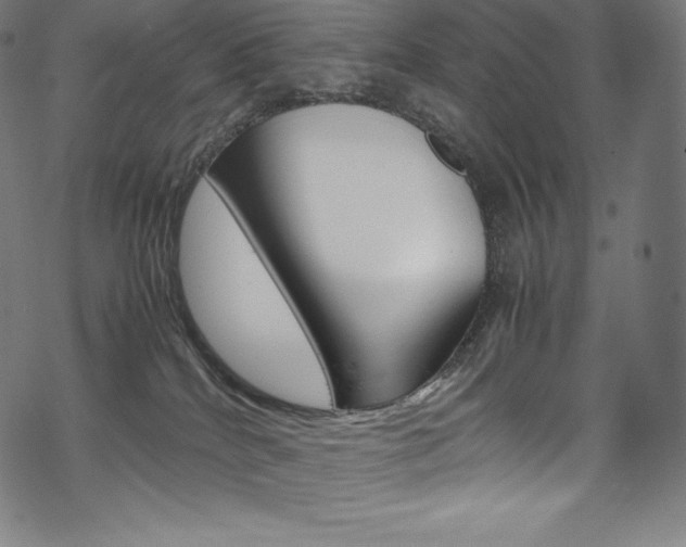 X0000070230040200605261113