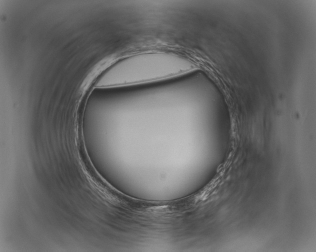 X0000070230054200605261112
