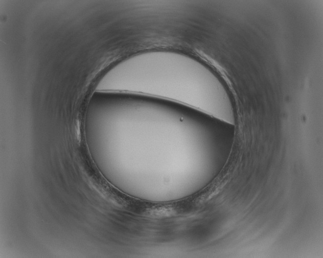 X0000070230067200605261112
