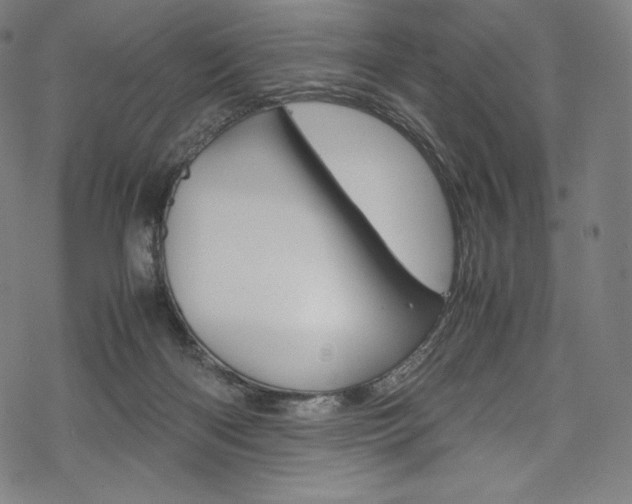 X0000070230122200605261111