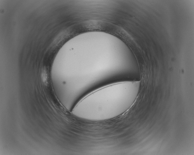X0000070230124200605261111