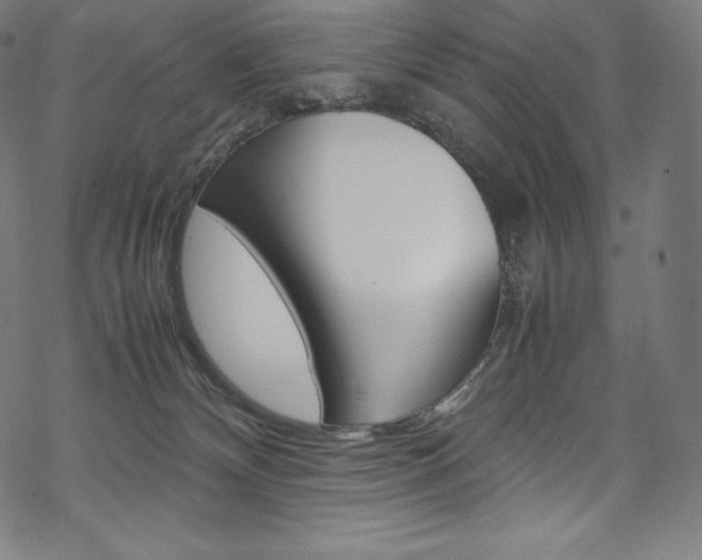 X0000070230132200605261111