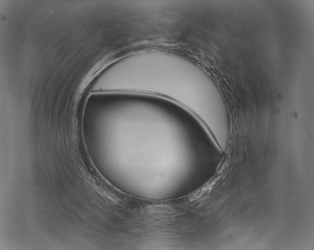 X0000070230150200605261110