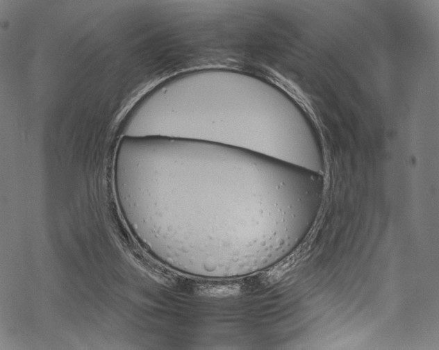 X0000070230155200605261110