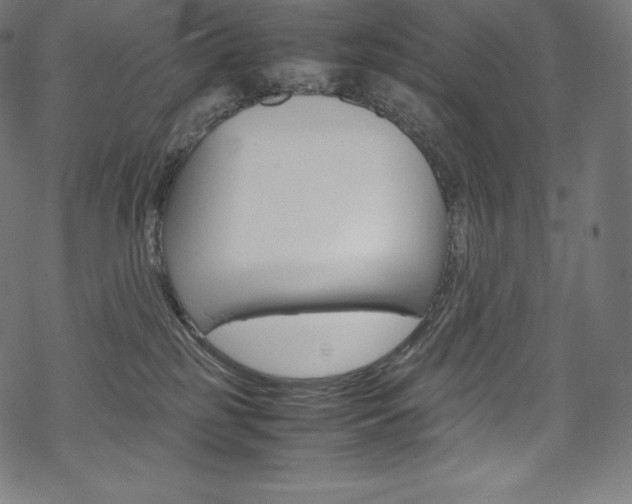 X0000070230185200605261111
