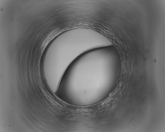 X0000070230242200605261109
