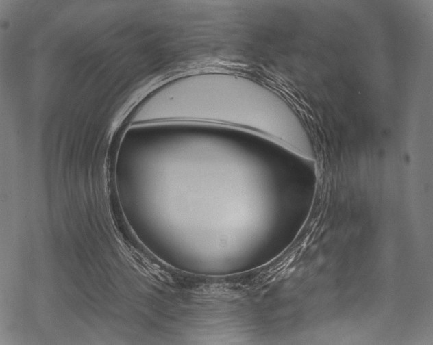 X0000070230244200605261109