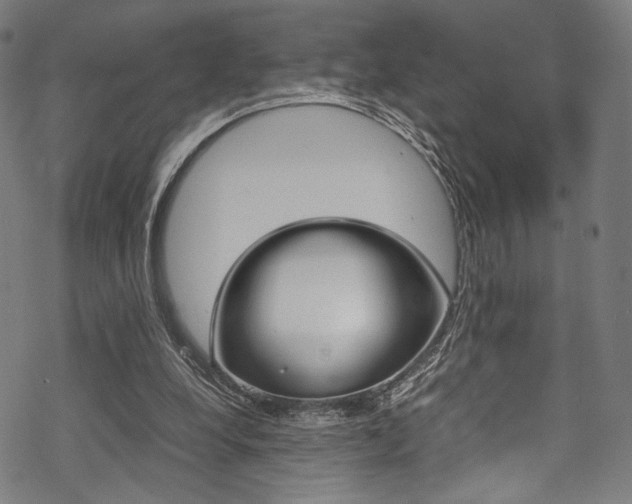 X0000070230248200605261109