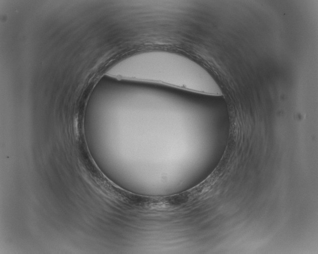 X0000070230262200605261109