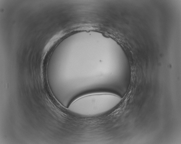 X0000070230296200605261108
