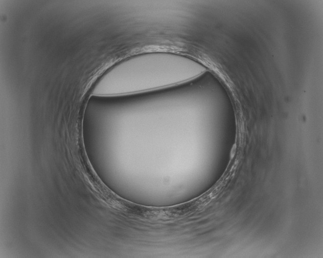 X0000070230297200605261108