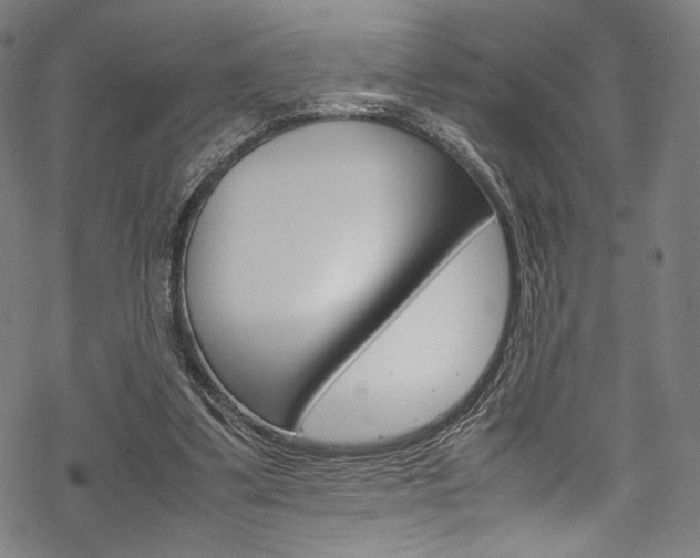 X0000070230299200605261108