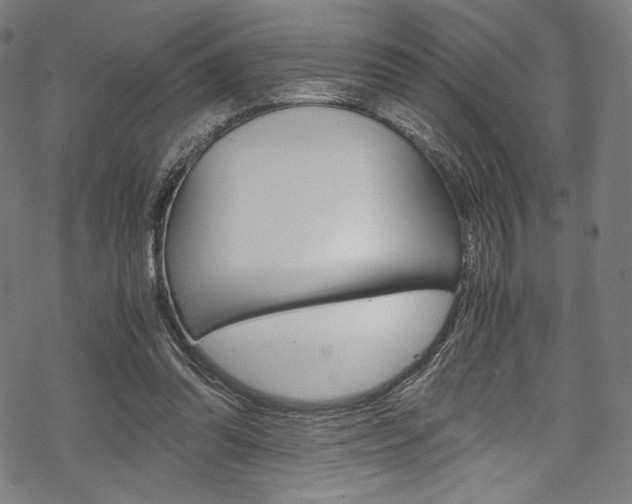 X0000070230302200605261108