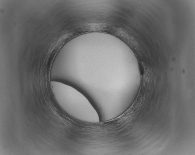X0000070230306200605261108