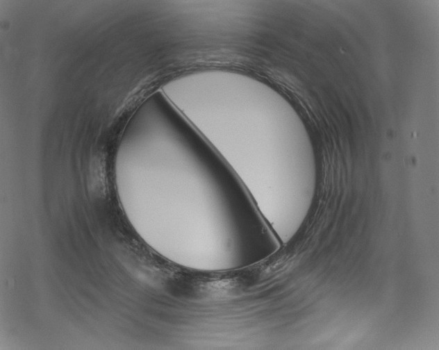 X0000070230312200605261108