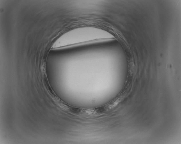 X0000070230329200605261108