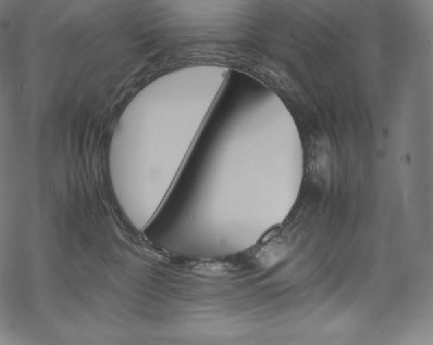 X0000070230332200605261108
