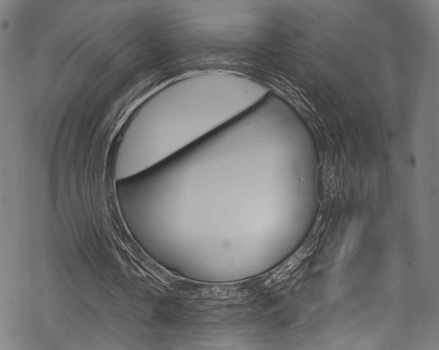 X0000070230338200605261107
