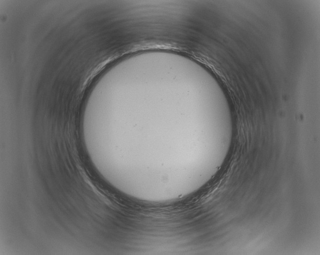 X0000070230352200605261107