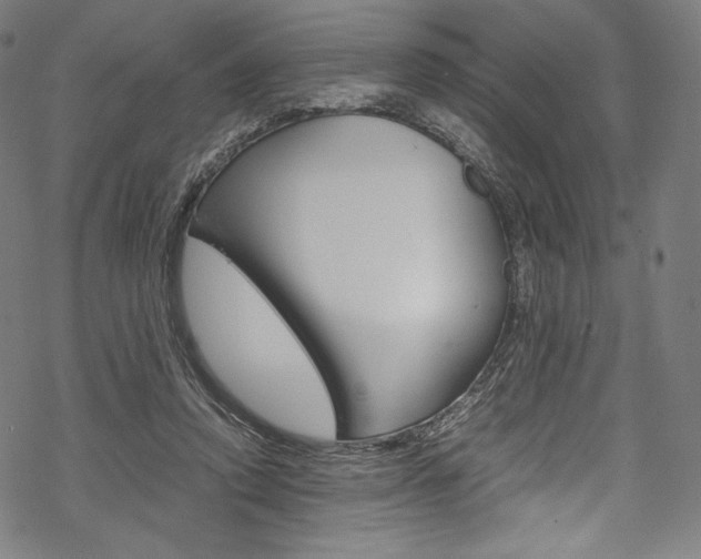 X0000070230354200605261107