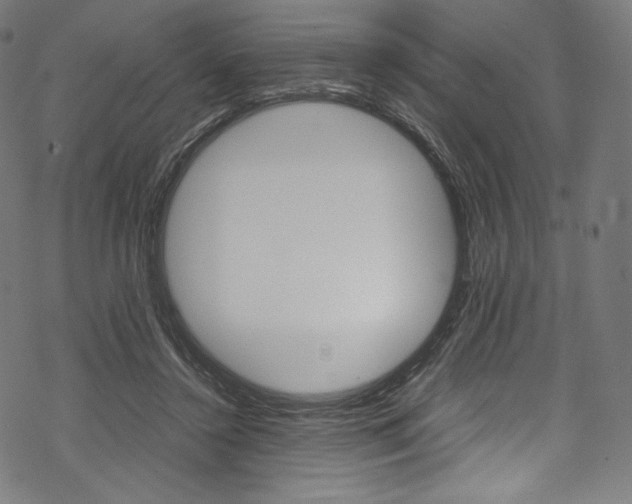 X0000070230356200605261107
