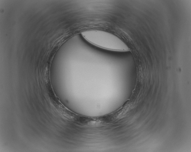 X0000070230364200605261107