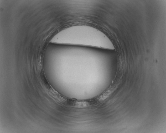 X0000070230376200605261108